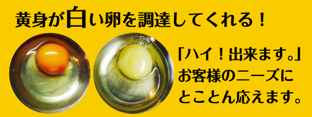 こんなことできないの？を実現します